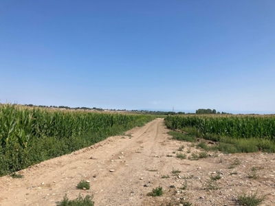 Farm Ground Land For Sale, Montrose, Colorado - image 17
