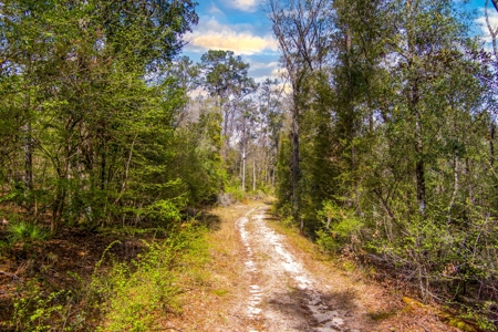 Suwannee River Proerty For Sale!!! - image 15