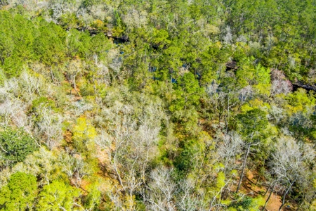 Suwannee River Proerty For Sale!!! - image 14