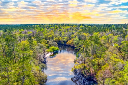 Suwannee River Proerty For Sale!!! - image 12