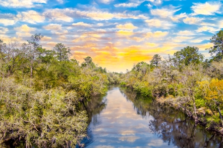 Suwannee River Proerty For Sale!!! - image 10