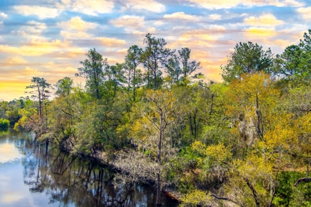 Suwannee River Proerty For Sale!!! - image 11
