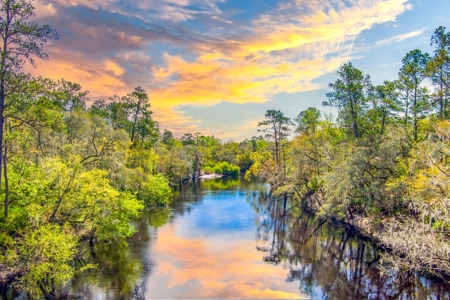 Suwannee River Proerty For Sale!!! - image 9