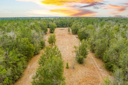Land For Sale In O'brien Florida!!! - image 2