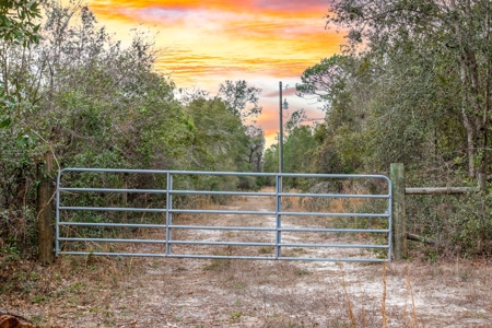 Land For Sale In O'brien Florida!!! - image 9