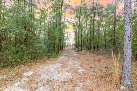 Land For Sale In O'brien Florida!!! - image 5
