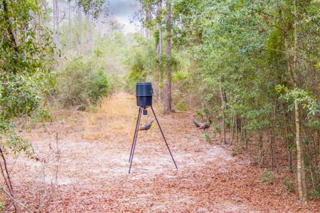 Land For Sale In O'brien Florida!!! - image 3