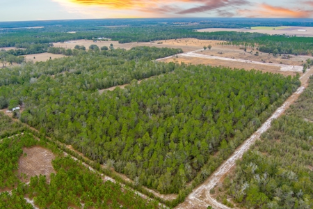 Land For Sale In O'brien Florida!!! - image 1