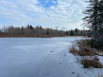 31 Acres Near the Coast of Maine - image 6