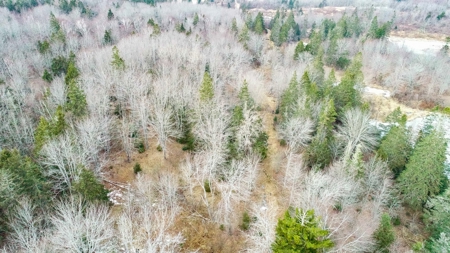 31 Acres Near the Coast of Maine - image 3