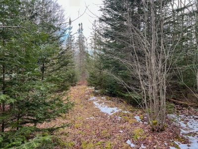 31 Acres Near the Coast of Maine - image 18