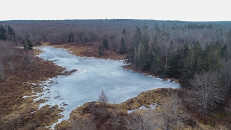 31 Acres Near the Coast of Maine - image 2