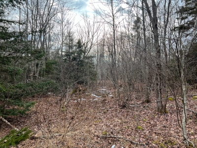 31 Acres Near the Coast of Maine - image 10
