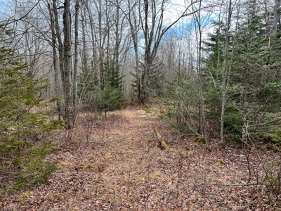 31 Acres Near the Coast of Maine - image 14