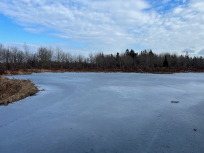 31 Acres Near the Coast of Maine - image 5
