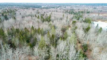 31 Acres Near the Coast of Maine - image 4