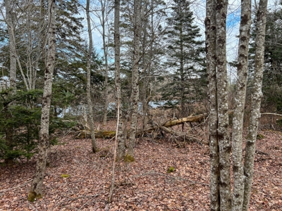31 Acres Near the Coast of Maine - image 7