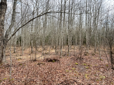 31 Acres Near the Coast of Maine - image 17
