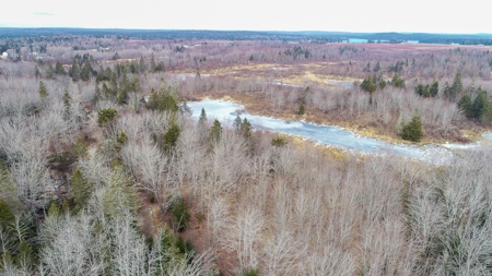 31 Acres Near the Coast of Maine - image 1