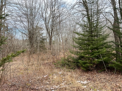 31 Acres Near the Coast of Maine - image 16
