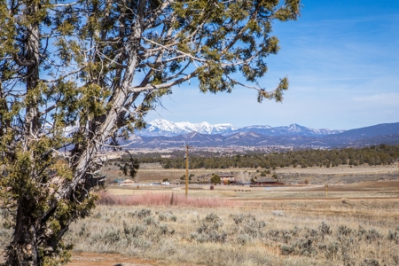 Country Home in Ignacio, CO For Sale! - image 47