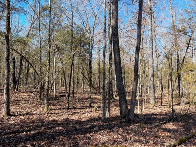 Strawberry River Land for sale Evening Shade, AR - image 17