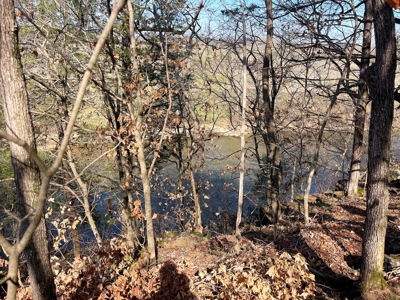 Strawberry River Land for sale Evening Shade, AR - image 27