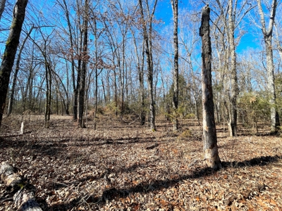 Strawberry River Land for sale Evening Shade, AR - image 12