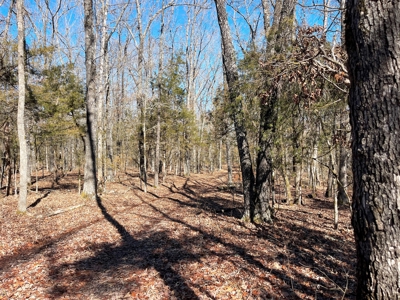 Strawberry River Land for sale Evening Shade, AR - image 16