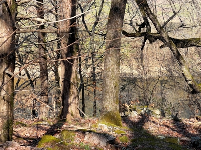 Strawberry River Land for sale Evening Shade, AR - image 38