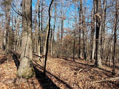 Strawberry River Land for sale Evening Shade, AR - image 4
