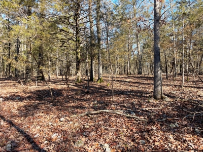 Strawberry River Land for sale Evening Shade, AR - image 7