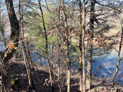 Strawberry River Land for sale Evening Shade, AR - image 30