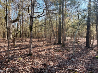 Strawberry River Land for sale Evening Shade, AR - image 6