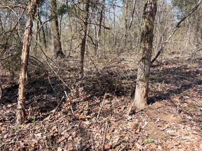 Strawberry River Land for sale Evening Shade, AR - image 39