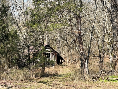 Strawberry River Land for sale Evening Shade, AR - image 43