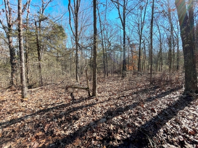 Strawberry River Land for sale Evening Shade, AR - image 13