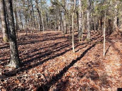 Strawberry River Land for sale Evening Shade, AR - image 5