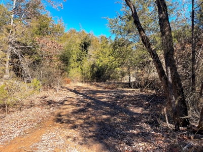 Strawberry River Land for sale Evening Shade, AR - image 11