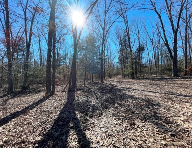 Strawberry River Land for sale Evening Shade, AR - image 14