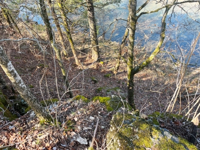 Strawberry River Land for sale Evening Shade, AR - image 32