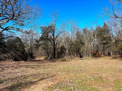Strawberry River Land for sale Evening Shade, AR - image 20