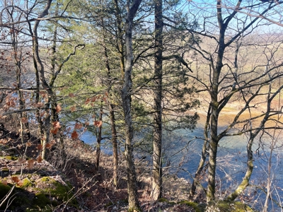Strawberry River Land for sale Evening Shade, AR - image 31