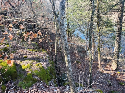 Strawberry River Land for sale Evening Shade, AR - image 33