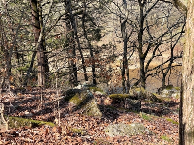 Strawberry River Land for sale Evening Shade, AR - image 37