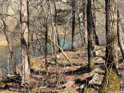 Strawberry River Land for sale Evening Shade, AR - image 35