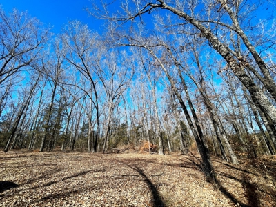 Strawberry River Land for sale Evening Shade, AR - image 15