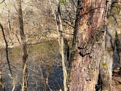 Strawberry River Land for sale Evening Shade, AR - image 36
