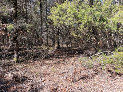 Strawberry River Land for sale Evening Shade, AR - image 10