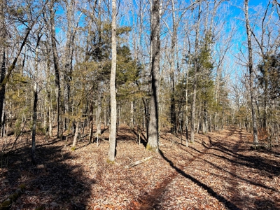 Strawberry River Land for sale Evening Shade, AR - image 18